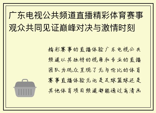 广东电视公共频道直播精彩体育赛事观众共同见证巅峰对决与激情时刻