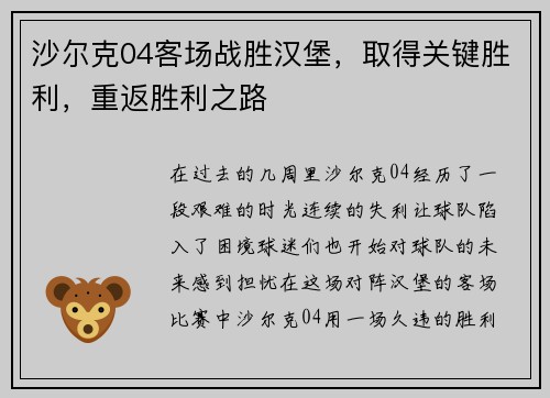 沙尔克04客场战胜汉堡，取得关键胜利，重返胜利之路